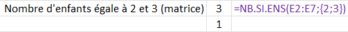 Excel_Fonctions_NB.SI.ENS avec une matrice