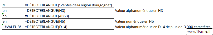 Excel_Fonction DETECTERLANGUE