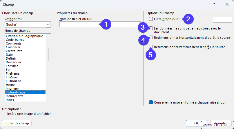 Interface pour INCLUDEPICTURE